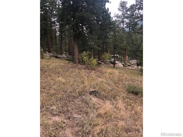 0 Cedar Drive Lyons, CO 80540