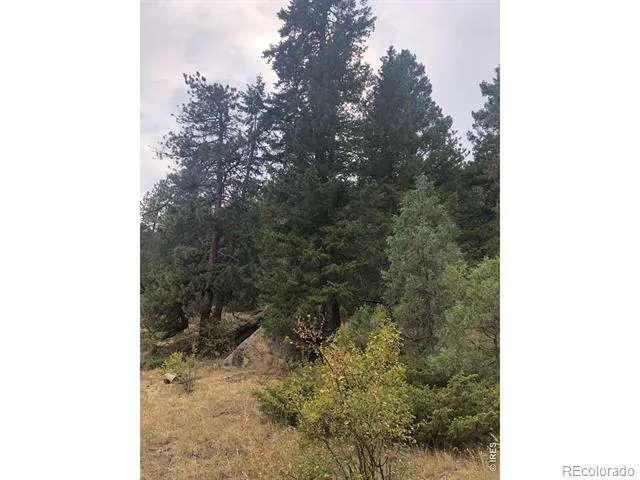 0 Cedar Drive Lyons, CO 80540
