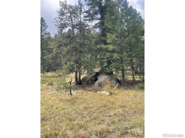 0 Cedar Drive Lyons, CO 80540