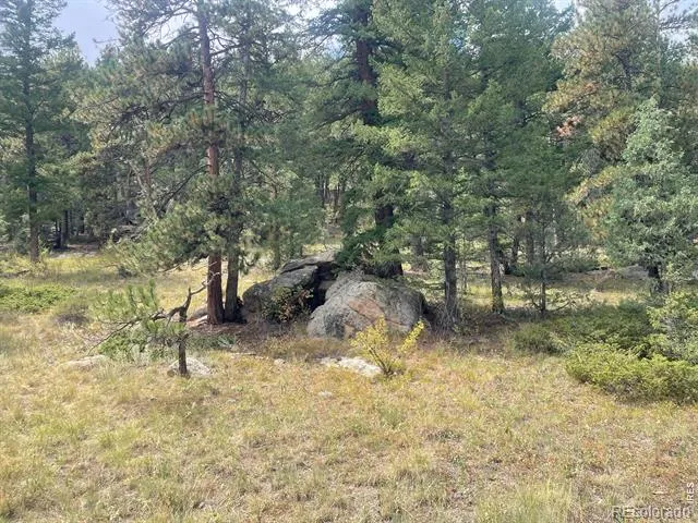 0 Cedar Drive Lyons, CO 80540