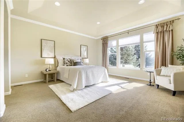 12132 Elton Way Parker, CO 80138