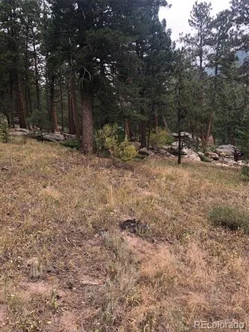 Cedar Drive Lyons, CO 80540