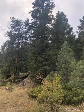 Cedar Drive Lyons, CO 80540
