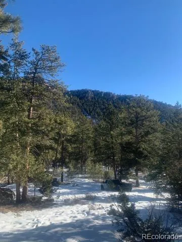 Cedar Drive Lyons, CO 80540
