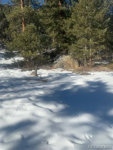 Cedar Drive Lyons, CO 80540