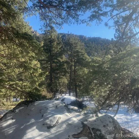 Cedar Drive Lyons, CO 80540