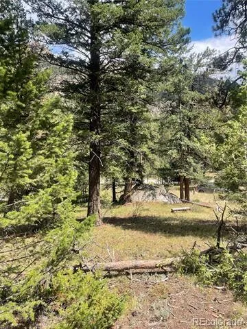 Cedar Drive Lyons, CO 80540
