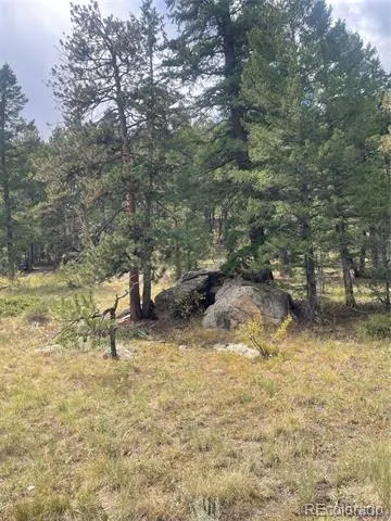 Cedar Drive Lyons, CO 80540