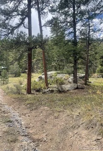 Cedar Drive Lyons, CO 80540