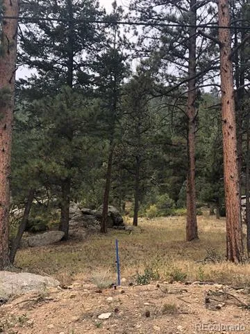 Cedar Drive Lyons, CO 80540