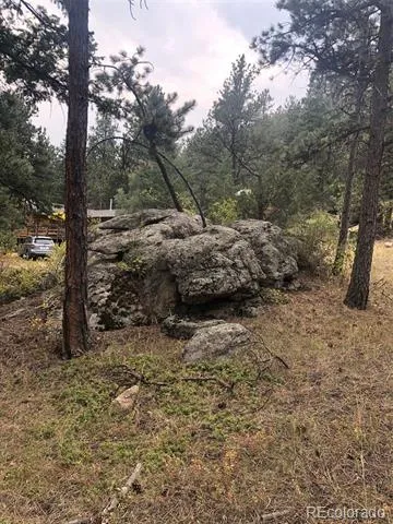 Cedar Drive Lyons, CO 80540