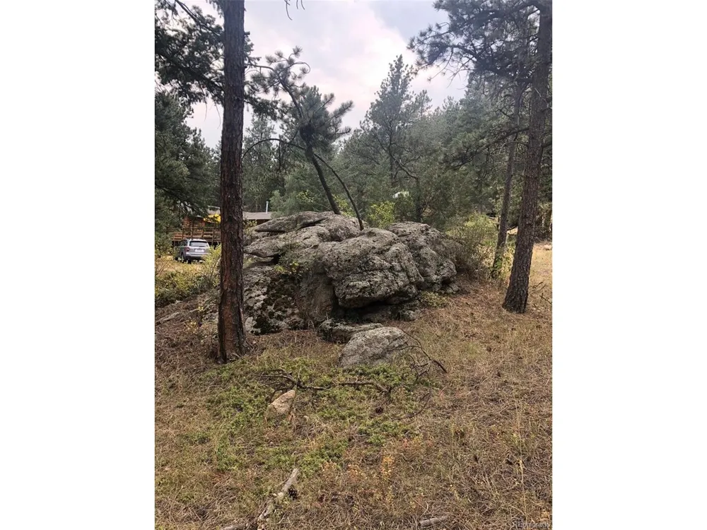 Cedar Drive Lyons, CO 80540
