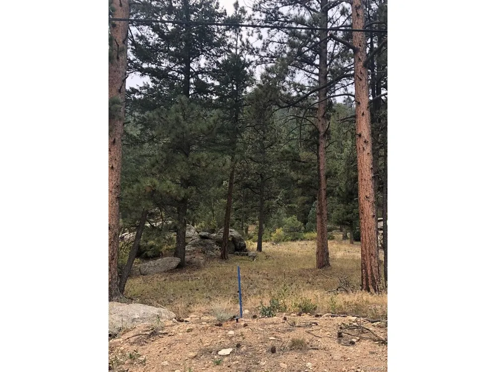 Cedar Drive Lyons, CO 80540