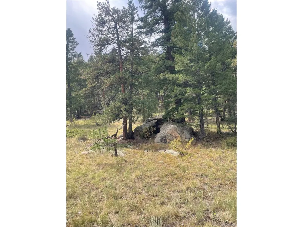 Cedar Drive Lyons, CO 80540