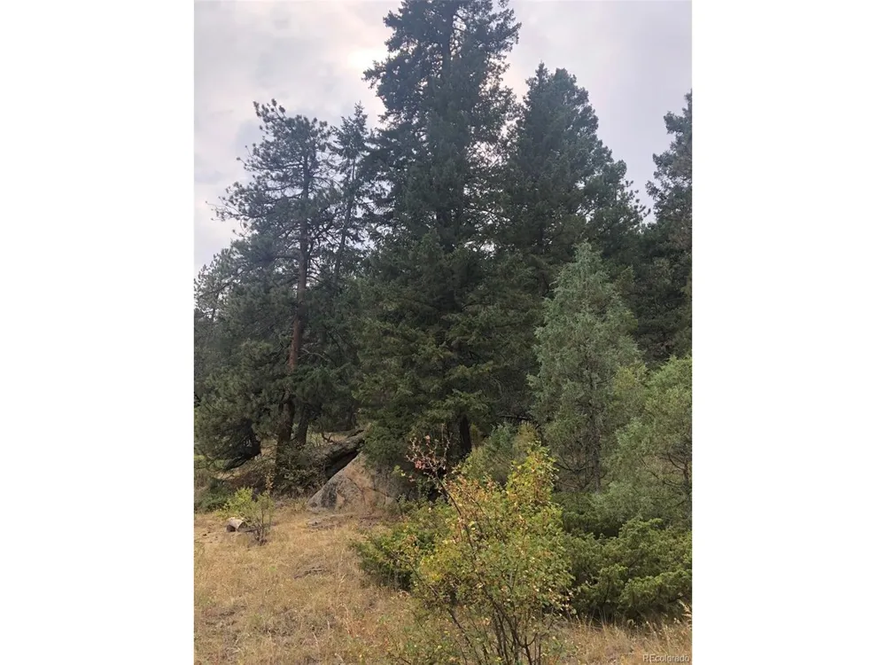 Cedar Drive Lyons, CO 80540