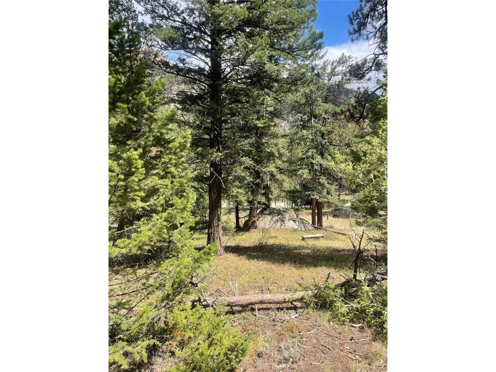 Cedar Drive Lyons, CO 80540
