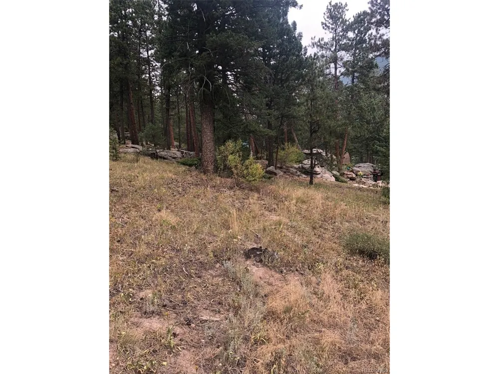 Cedar Drive Lyons, CO 80540