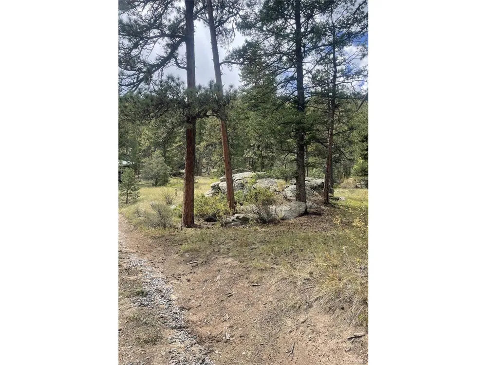 Cedar Drive Lyons, CO 80540