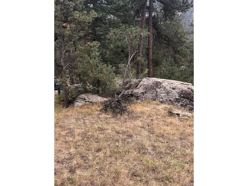 Cedar Drive Lyons, CO 80540