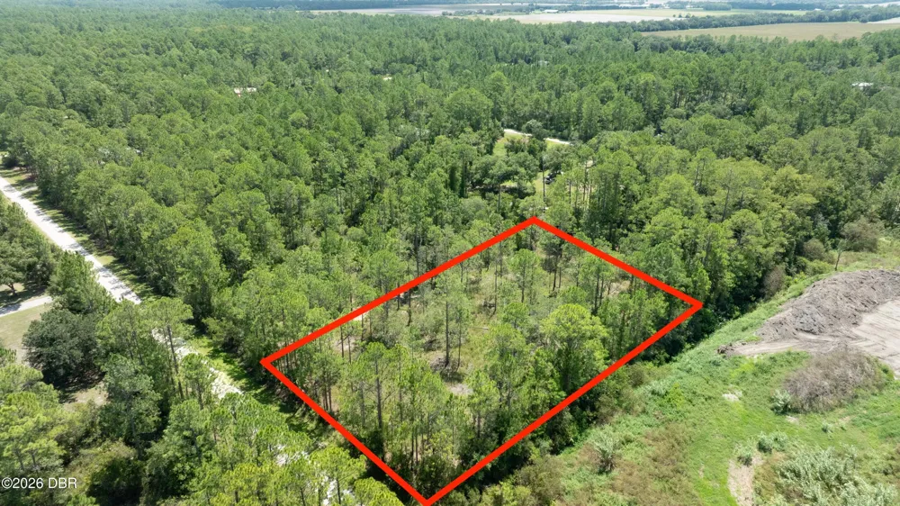 5669 Mango Avenue Bunnell, FL 32110