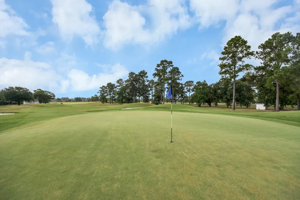 8926 Leaning Hollow Lane Spring, TX 77379