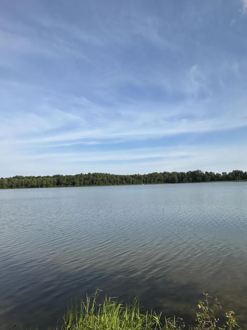 3107 Baseline Road Gobles, MI 49055