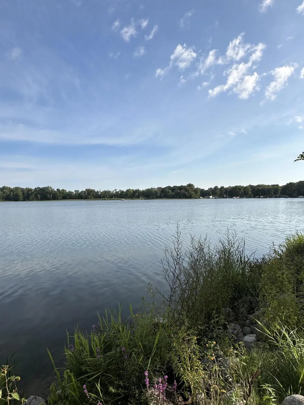 3107 Baseline Road Gobles, MI 49055