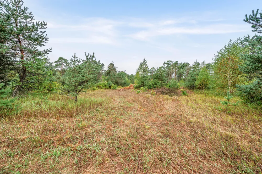 6584 E 96th Street Chase Township, MI 49677