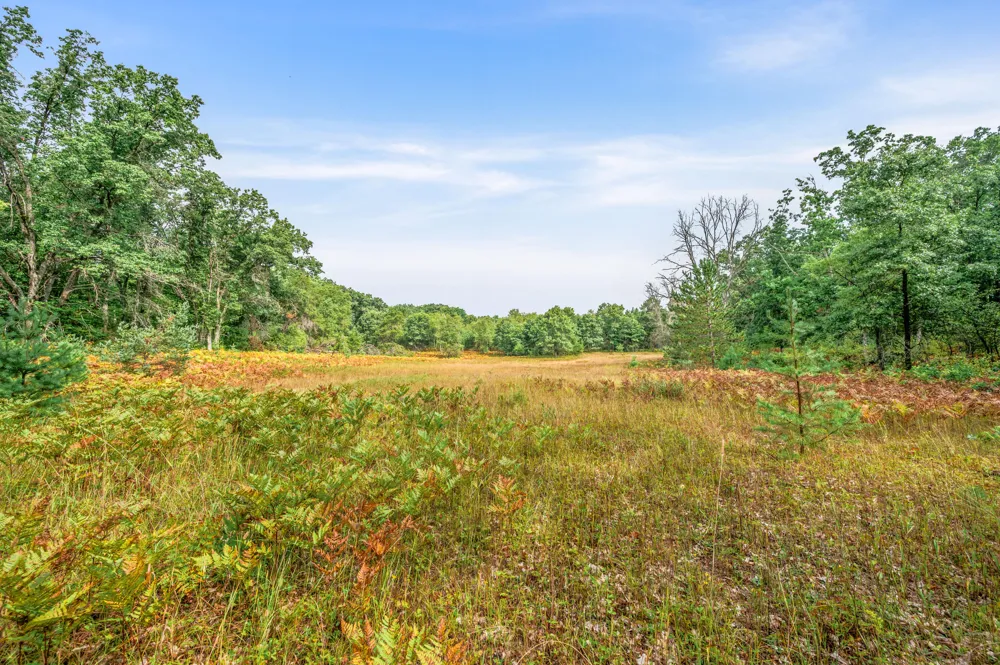 6584 E 96th Street Chase Township, MI 49677