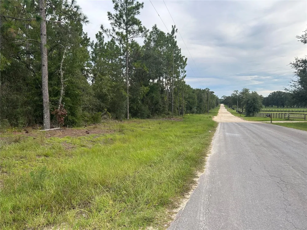TBD NE 150TH AVENUE Williston, FL 32696