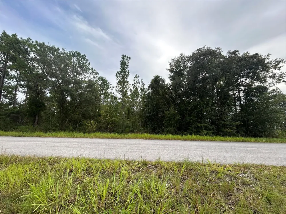 TBD NE 150TH AVENUE Williston, FL 32696