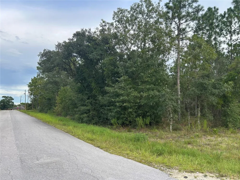 TBD NE 150TH AVENUE Williston, FL 32696