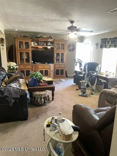 160 Woodsdale Circle Byhalia, MS 38611
