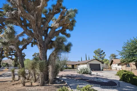 56347 Tamarisk Court