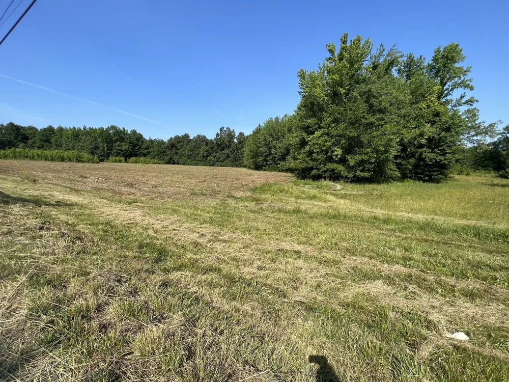 1 Maxey Cedar Hill, TN 37032
