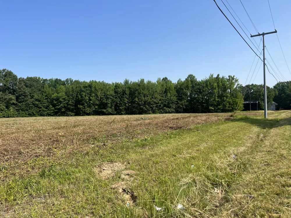 1 Maxey Cedar Hill, TN 37032