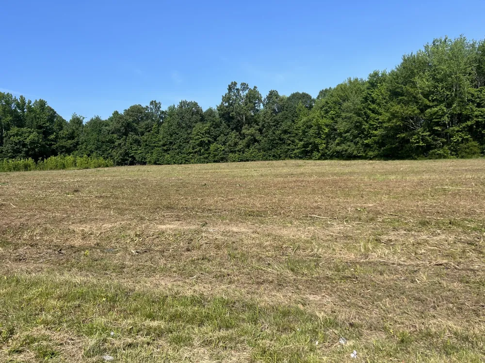 1 Maxey Cedar Hill, TN 37032