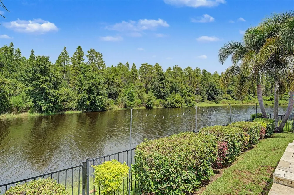 1231 KETZAL DRIVE Trinity, FL 34655