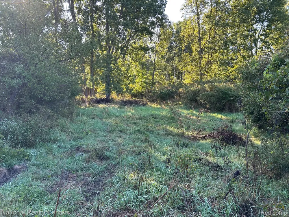 Austin Farms Parcel D Groveland Township, MI 48462