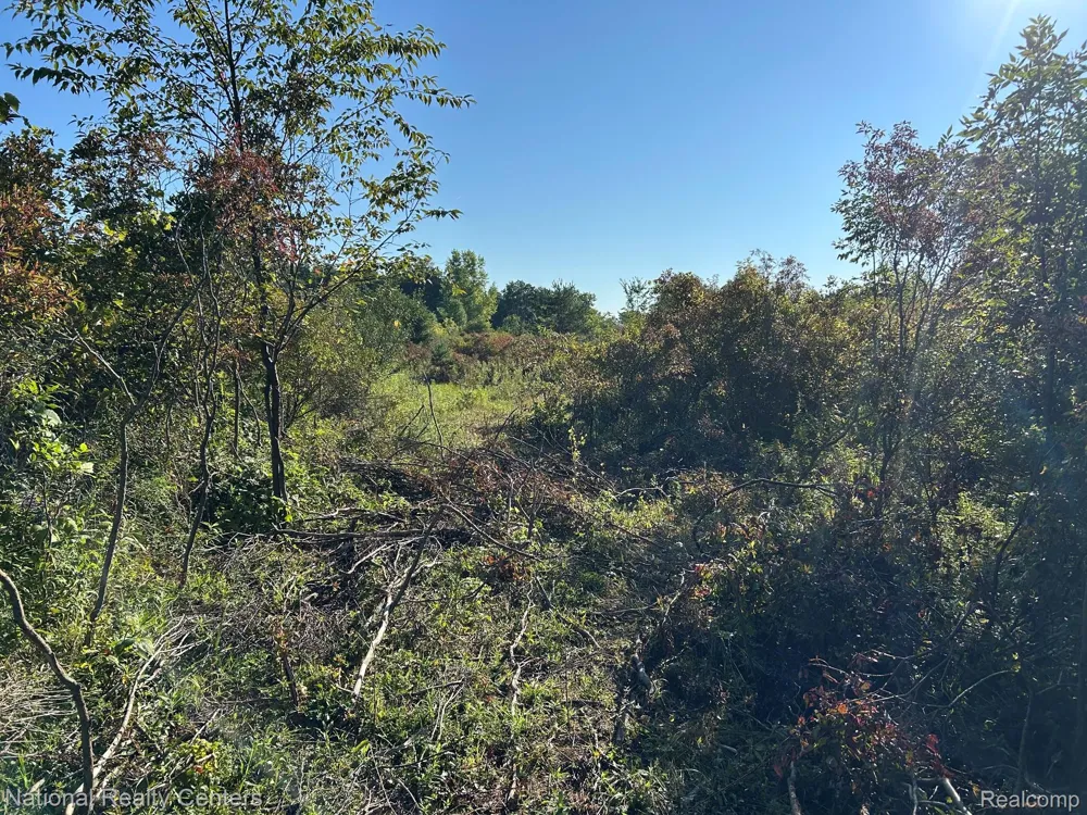 Austin Farms Parcel D Groveland Township, MI 48462