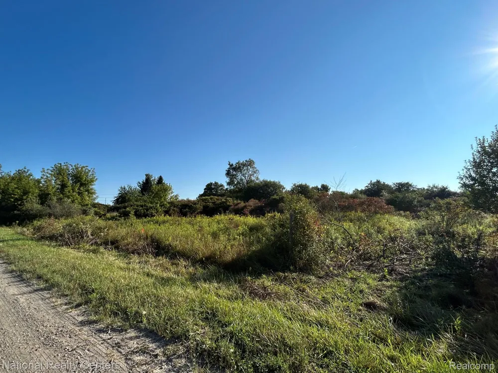 Austin Farms Parcel D Groveland Township, MI 48462