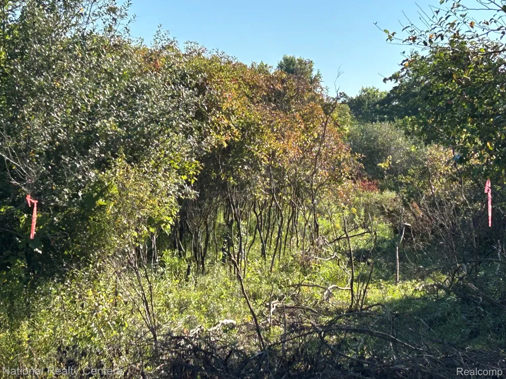 Austin Farms Parcel D Groveland Township, MI 48462
