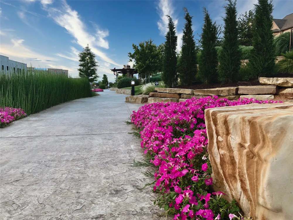 3400 Spring Meadow Lane Flower Mound, TX 75028