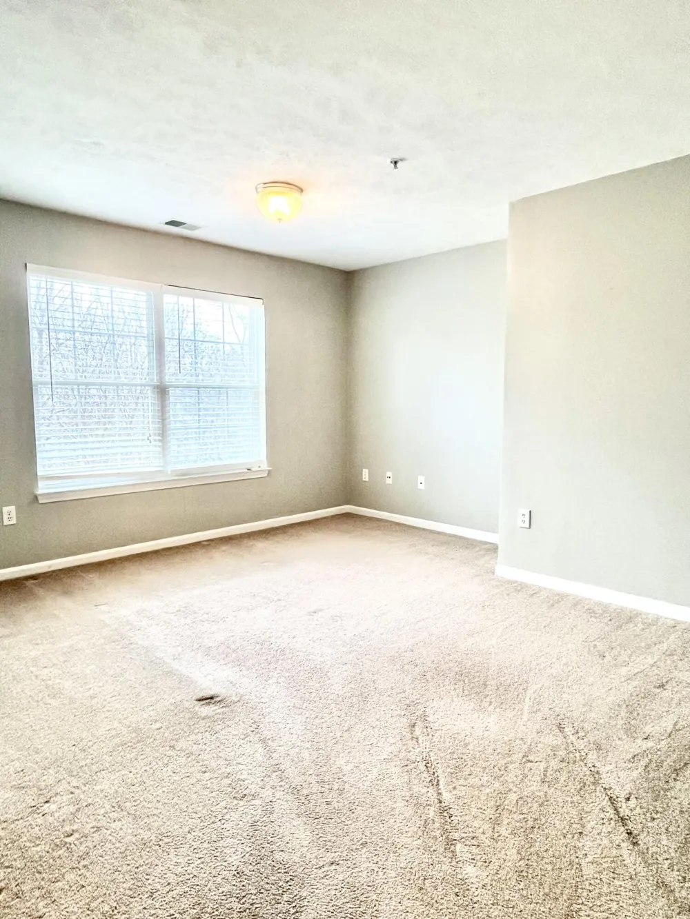 4417 Inverness Street Dexter, MI 48130