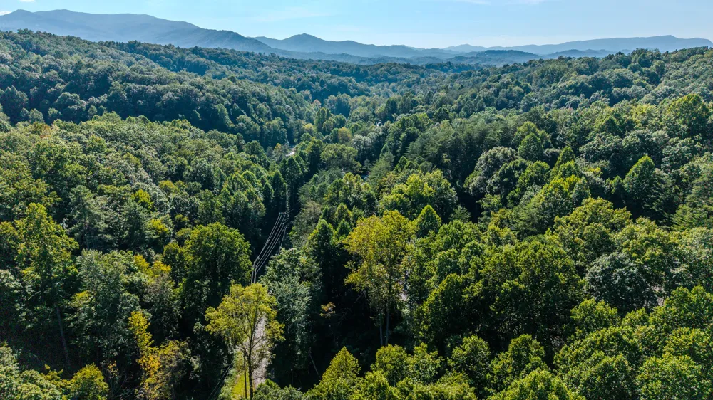 1423 School House Gap Rd Sevierville, TN 37876