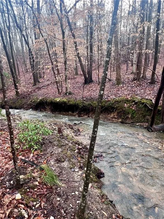 100 Buckwood Farms Path Dallas, GA 30132
