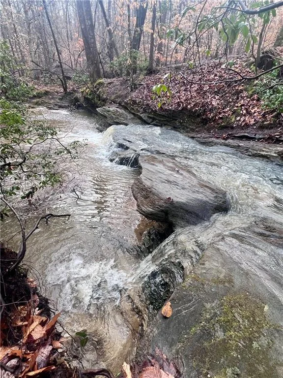 100 Buckwood Farms Path Dallas, GA 30132