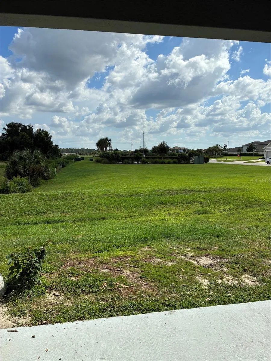 34218 REDWOOD DAWN LANE Wesley Chapel, FL 33543