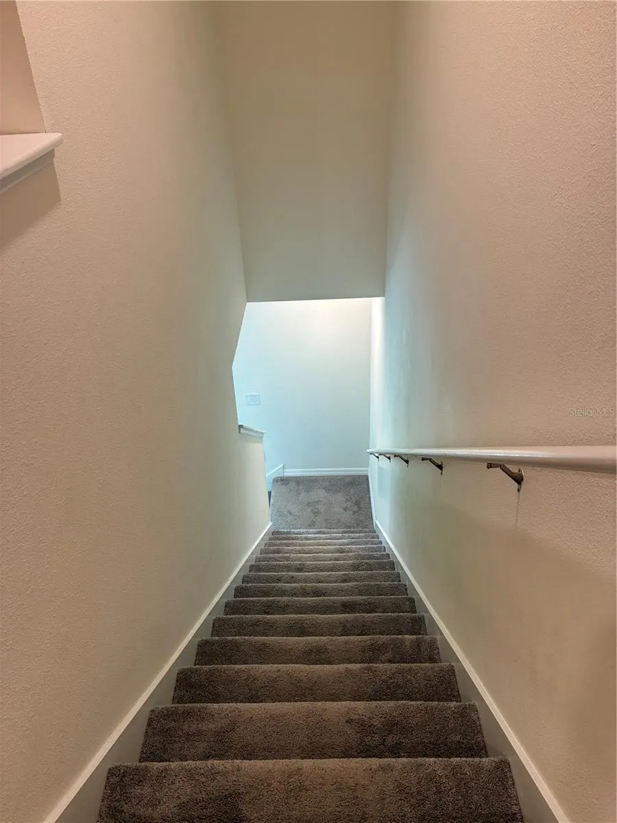 34218 REDWOOD DAWN LANE Wesley Chapel, FL 33543