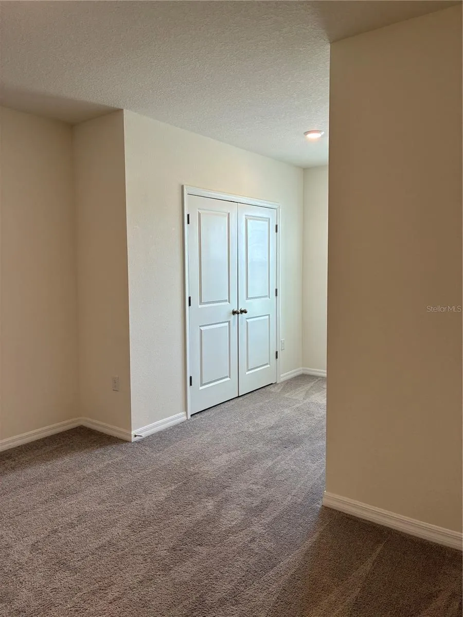 34218 REDWOOD DAWN LANE Wesley Chapel, FL 33543